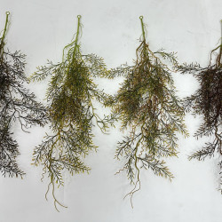 Asparagus Pnącze  - Gałązka - Plastik - Mix kolorów