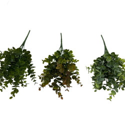 Bukszpan - Bukiet - Plastik - Mix kolorów
