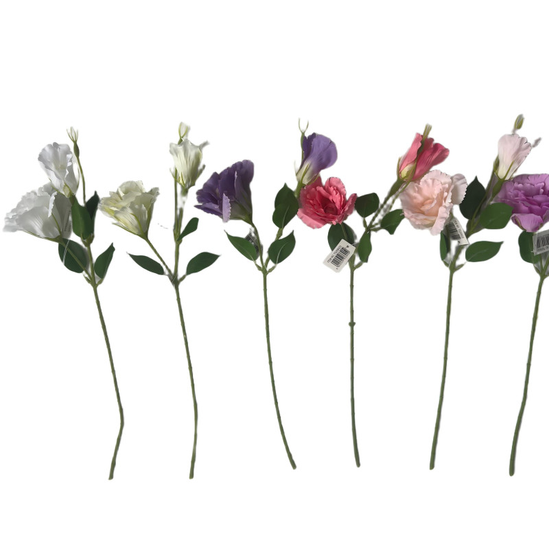Eustoma TS25S033 — Kwiaty pojedyncze
