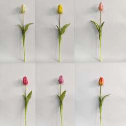 Tulipan Pojedynczy Gumowy Premium 45cm - Mix kolorów