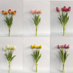 Tulipan 5szt.