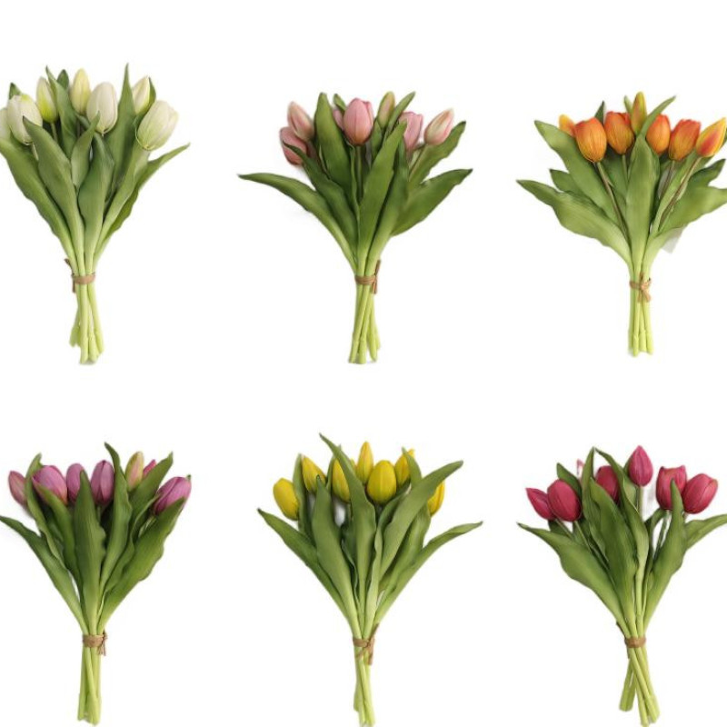 Tulipan 7szt